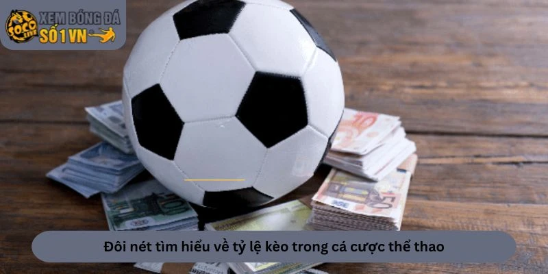 Tỷ Lệ Kèo 1 Đôi nét tìm hiểu về tỷ lệ kèo trong cá cược thể thao